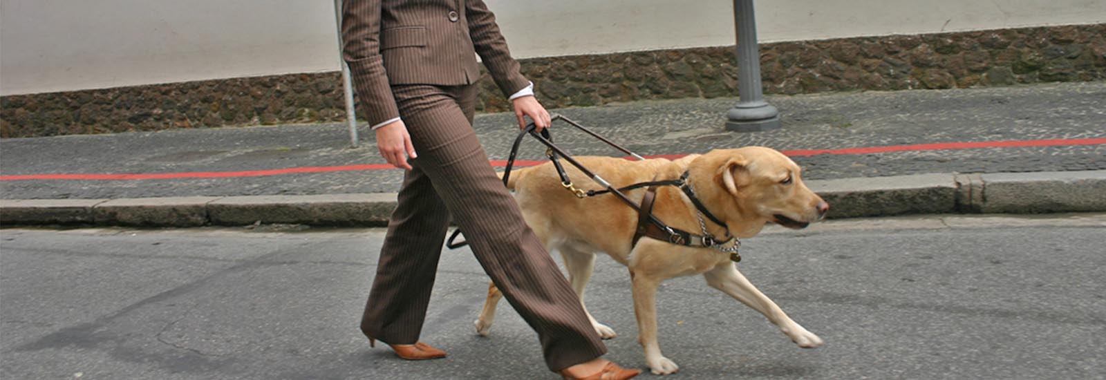 Blind lady walking dog